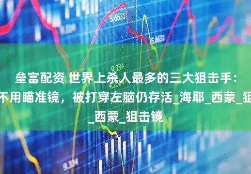 垒富配资 世界上杀人最多的三大狙击手：他从不用瞄准镜，被打穿左脑仍存活_海耶_西蒙_狙击镜