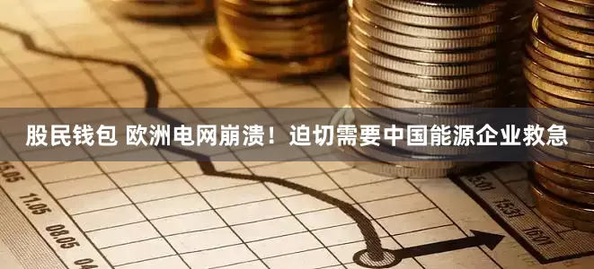 股民钱包 欧洲电网崩溃！迫切需要中国能源企业救急