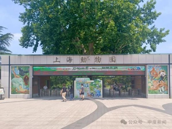 致富配资 10月龄婴儿上海动物园内喝奶瓶被驱赶，园方称做法合规无需道歉，网友吵翻